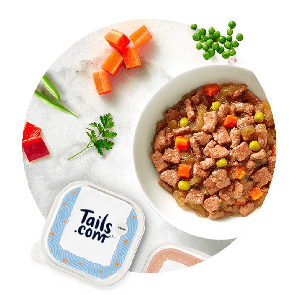 Tails up on sale dog food price