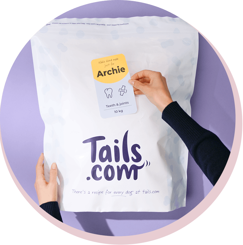 Archie's food bag