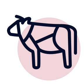 Nose to tail