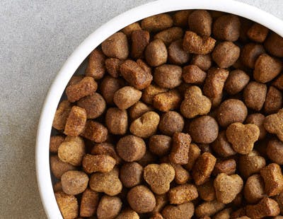 does dog food kibble size matter