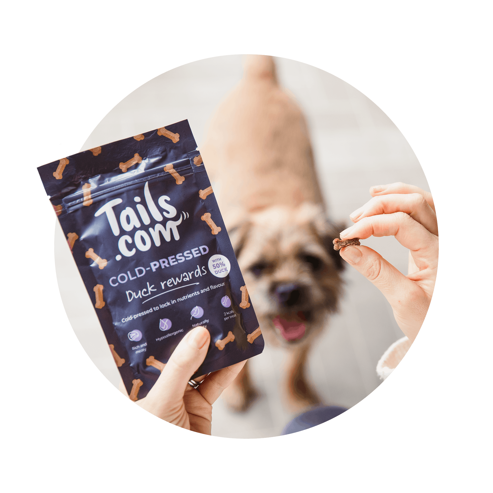 Packets of our premium treat superfood bites, with their ingredients
