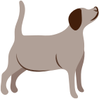 Dog weight management | tails.com