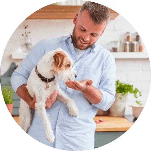 tails.com Cheftierarzt füttert einen Hund aus der Hand