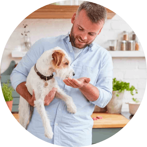 tails.com Head Vet Dr Sean McCormack feeding a dog treats from the Happy Dog Cook Book