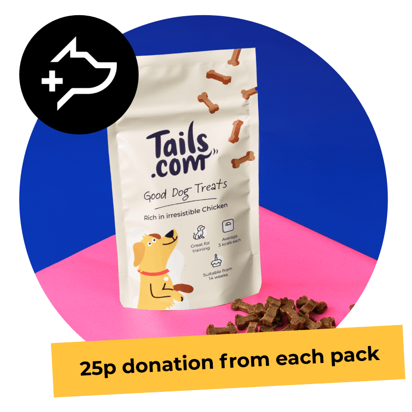 Supporting all good dogs with StreetVet
