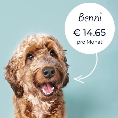 Hund mit Preisschild