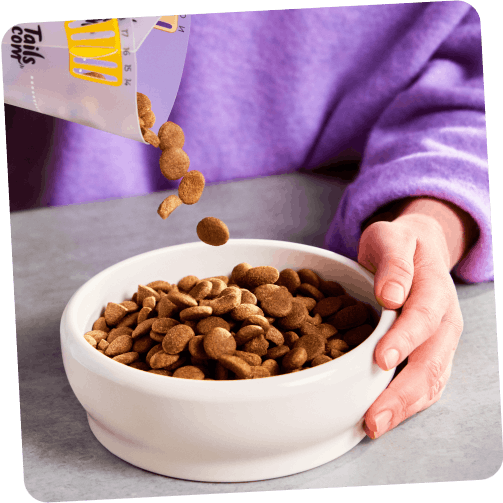 Bowl of tailor-made kibble