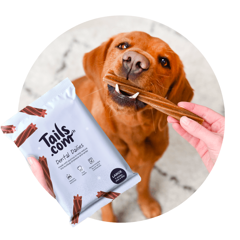 Dental chews for fresh breath