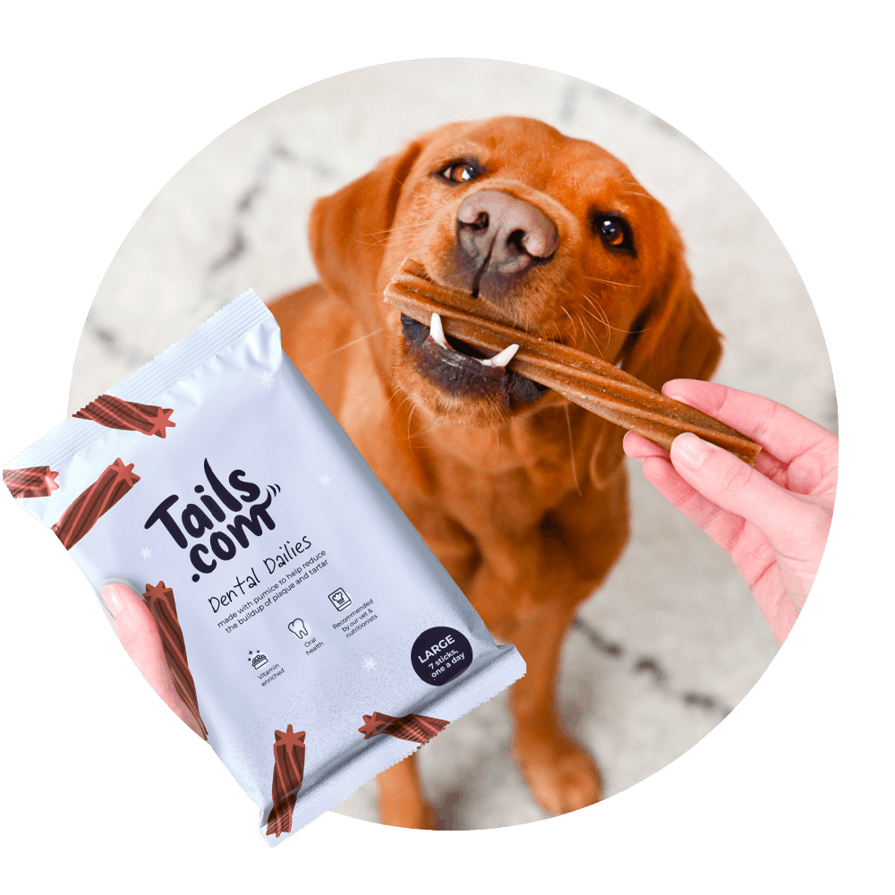 Tails up best sale dog food price