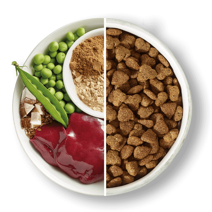 Split bowl of ingredients and kibble