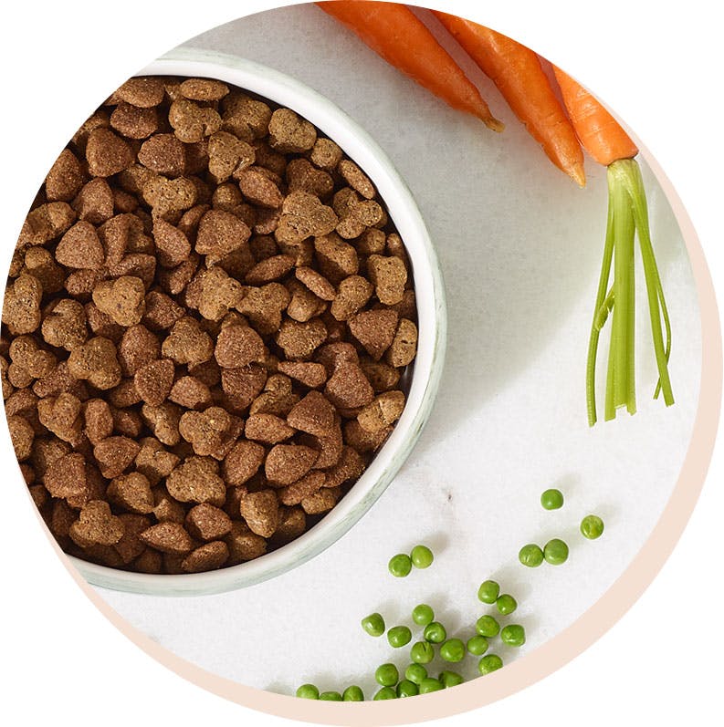 Kibble is king, it’s everything your dog needs