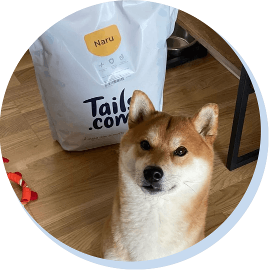 chien avec son sac de croquettes tails.com