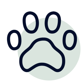 paw print