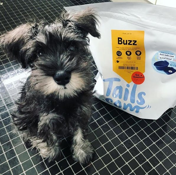 Buzz und tails.com Hundefutter