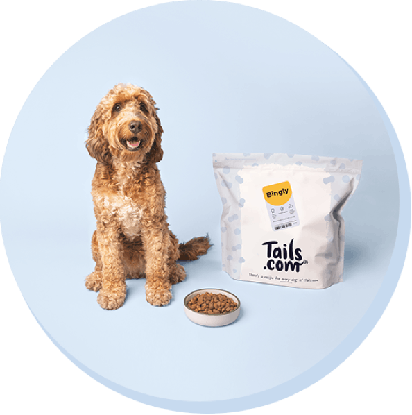 image of dog and food bag with bowl