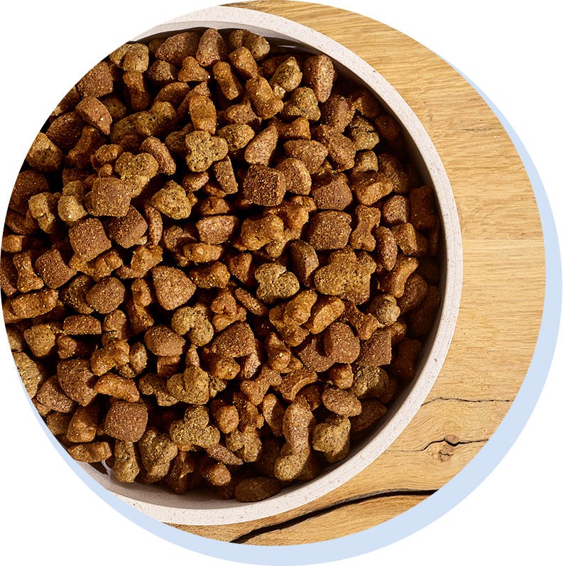 Tailored dog food, the tails.com way