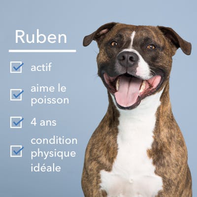 Ruben qui est heureux