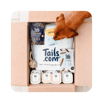 A Tails.com dog dog and delivery box