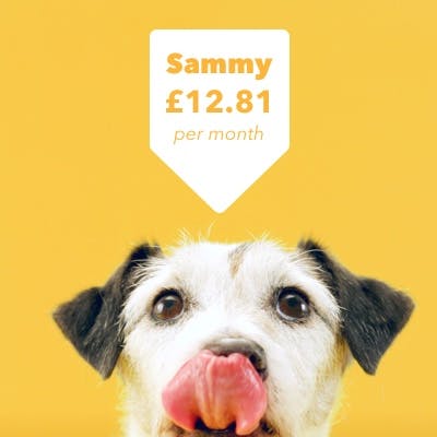 dog lipping lips price tag