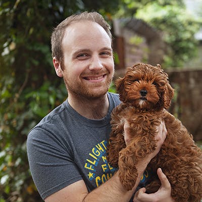 Henry and Elmo the Cavpoo puppy