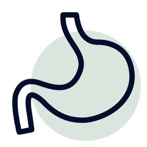 gut health icon