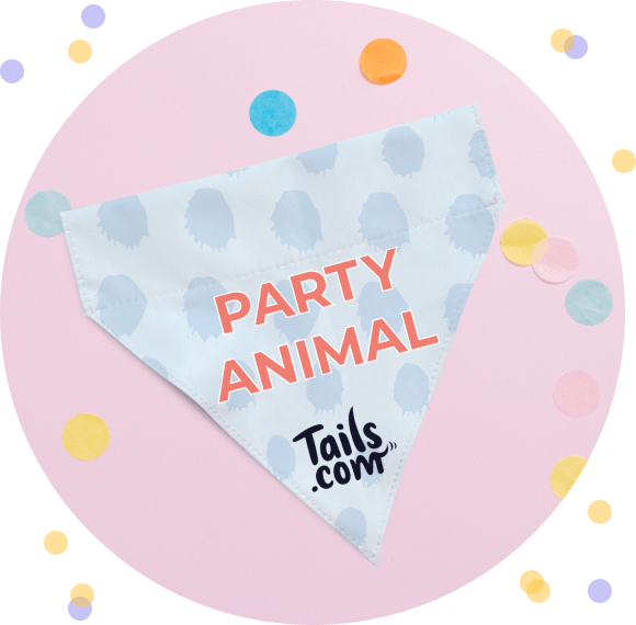 Party Animal Bandana