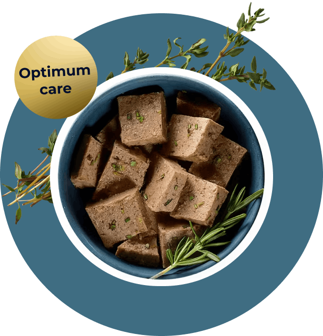 Optimum Care