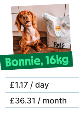 
                        
                            Bonnie, 16kg, £1.17 a day
                        