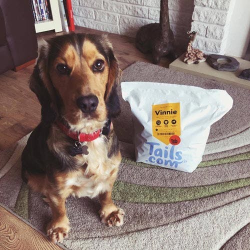 Vinnie the Cocker Spaniel's review of tails.com