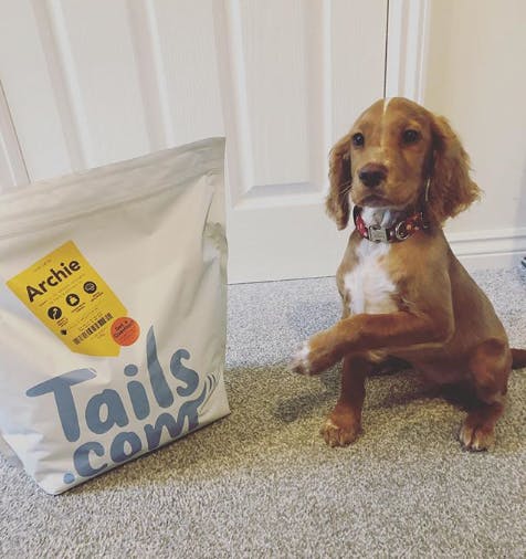 Archie and tails.com dog food