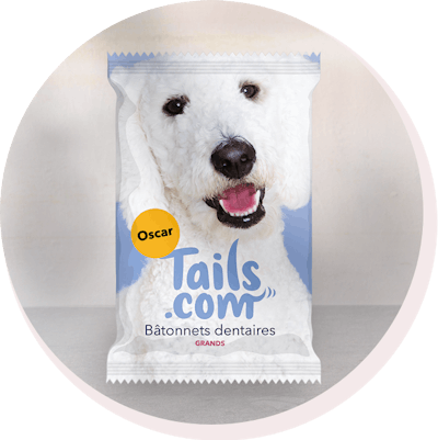 Dental Dailies