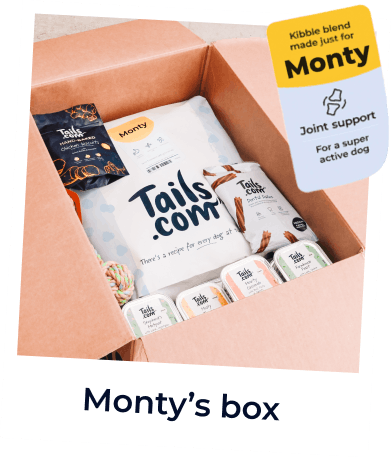 Monty's tails.com box of kibble, wet food and treats