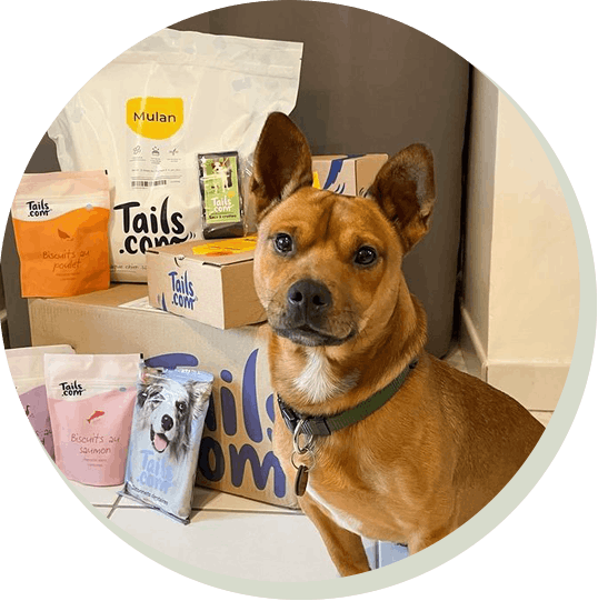 chien avec toute la gamme de produits tails.com