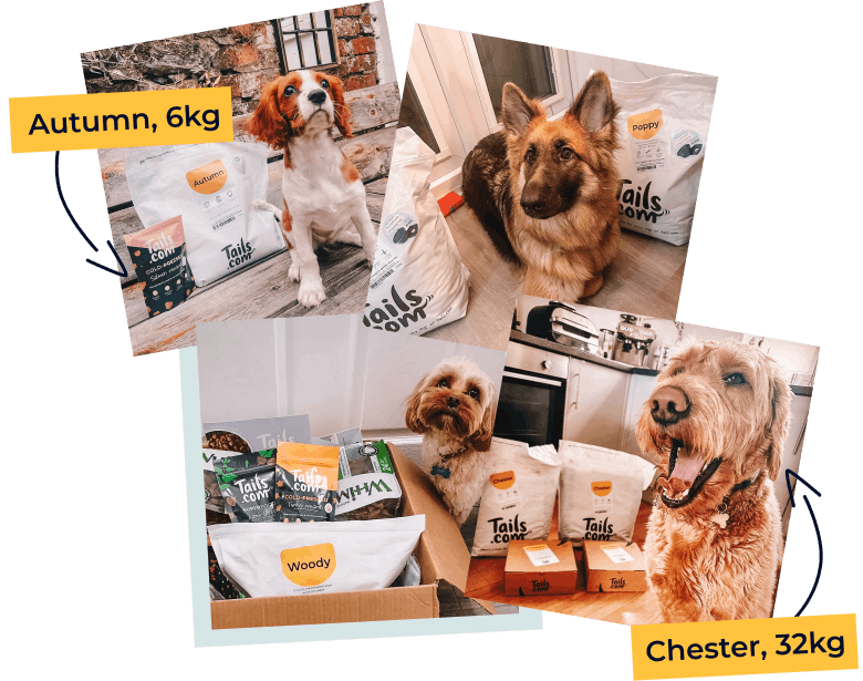 Range of tails.com dogs, from Autumn 6kg to Chester 32kg