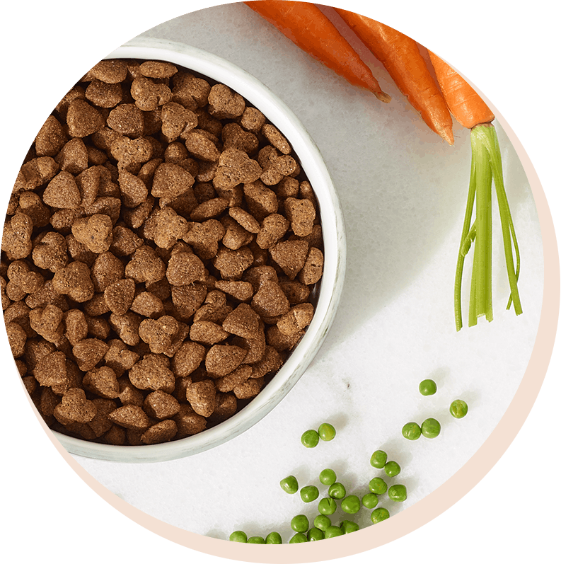 Kibble is king, it’s everything your dog needs