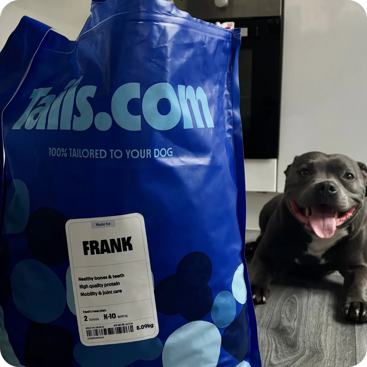 Barney with his tails.com food