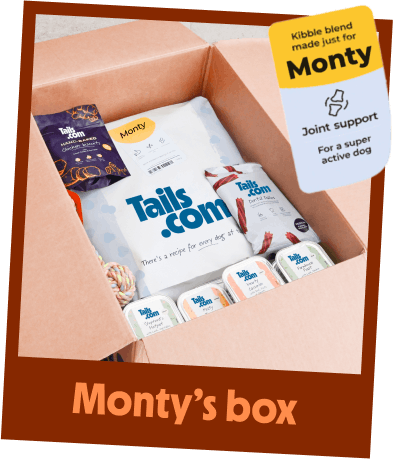 Monty's tails.com box of kibble, wet food and treats