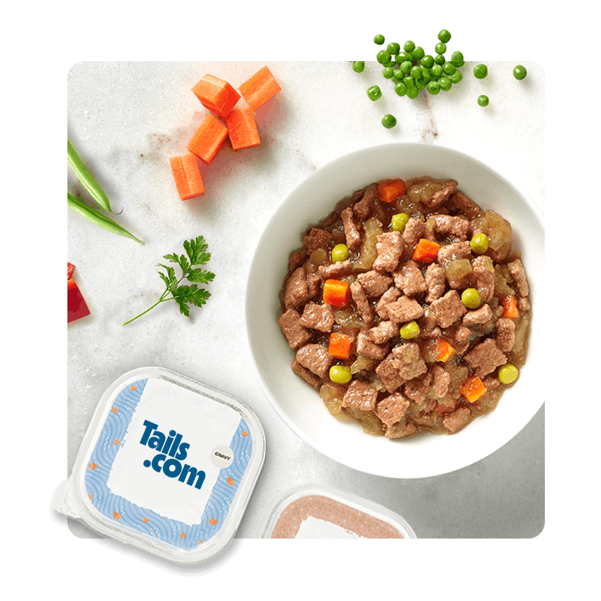 A wet food tray alongside a bowl of wet food