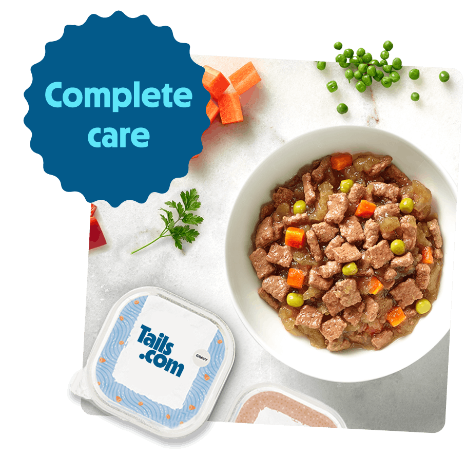 Complete care wet food