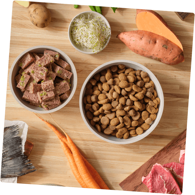 Dry and wet food with fresh ingredients