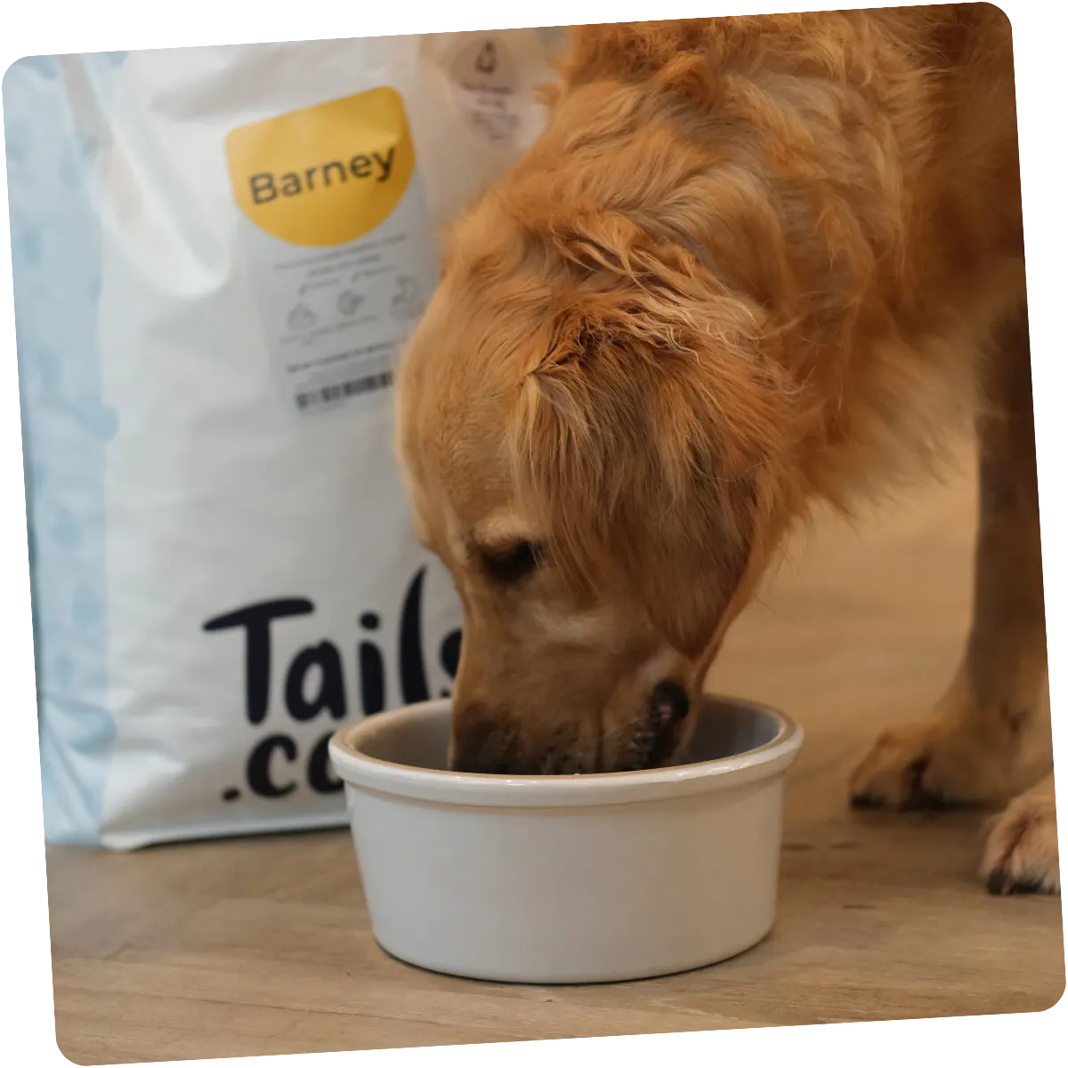 Our empty bowl guarantee