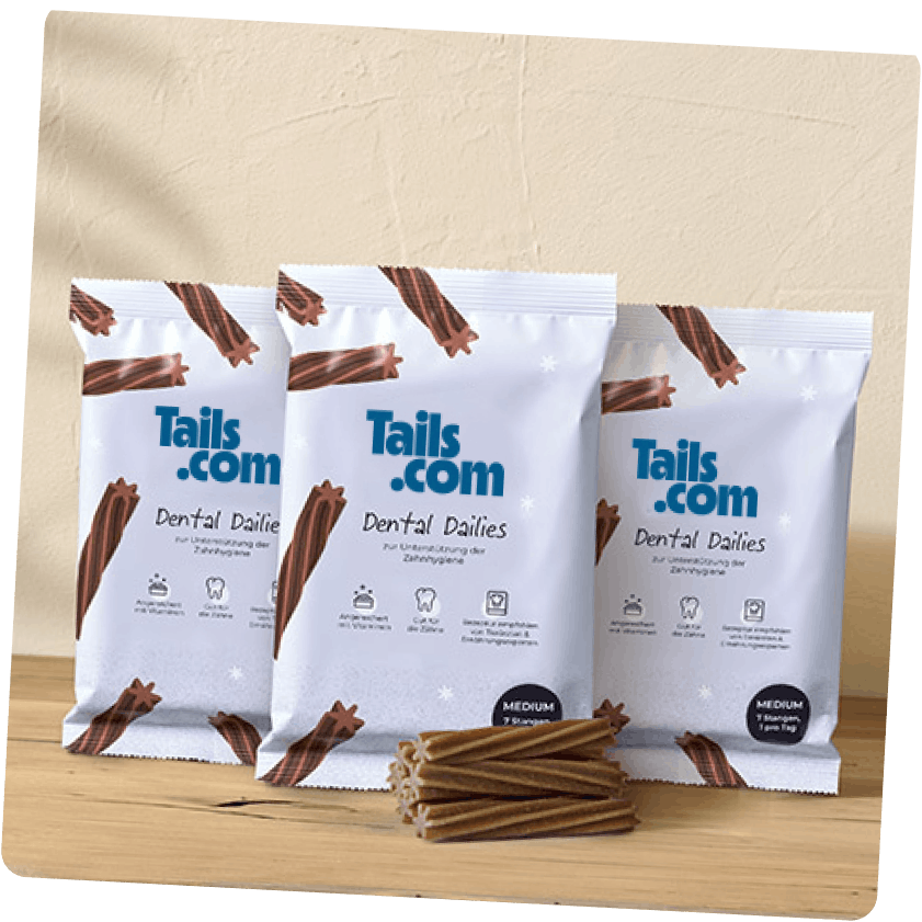 Dental Dailies Kaustangen Produktbild
