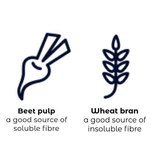 dry and wet food surrounded by high-quality ingredients