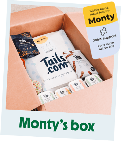 Monty's tails.com box of kibble, wet food and treats