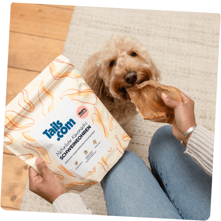 Hund mit seinen natürlichen Kausnacks
