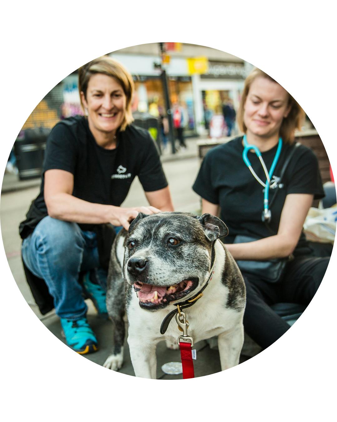Tails.com supporting All Creatures Great and Small Animal Sanctuary as part of Tails.com Community Fund