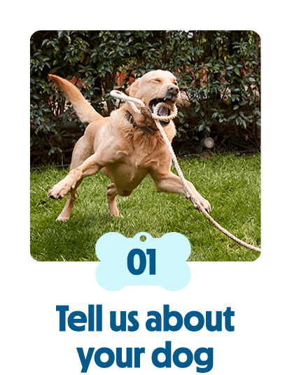 
                            Tell us about your dog
