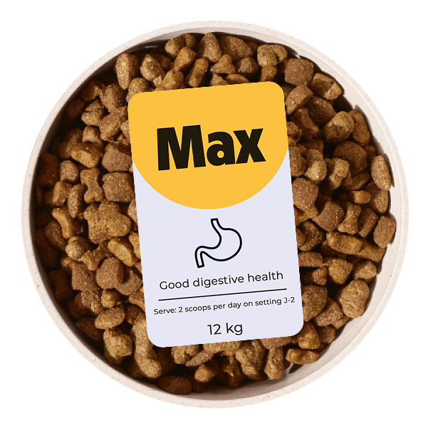 Sensitive stomach dog food