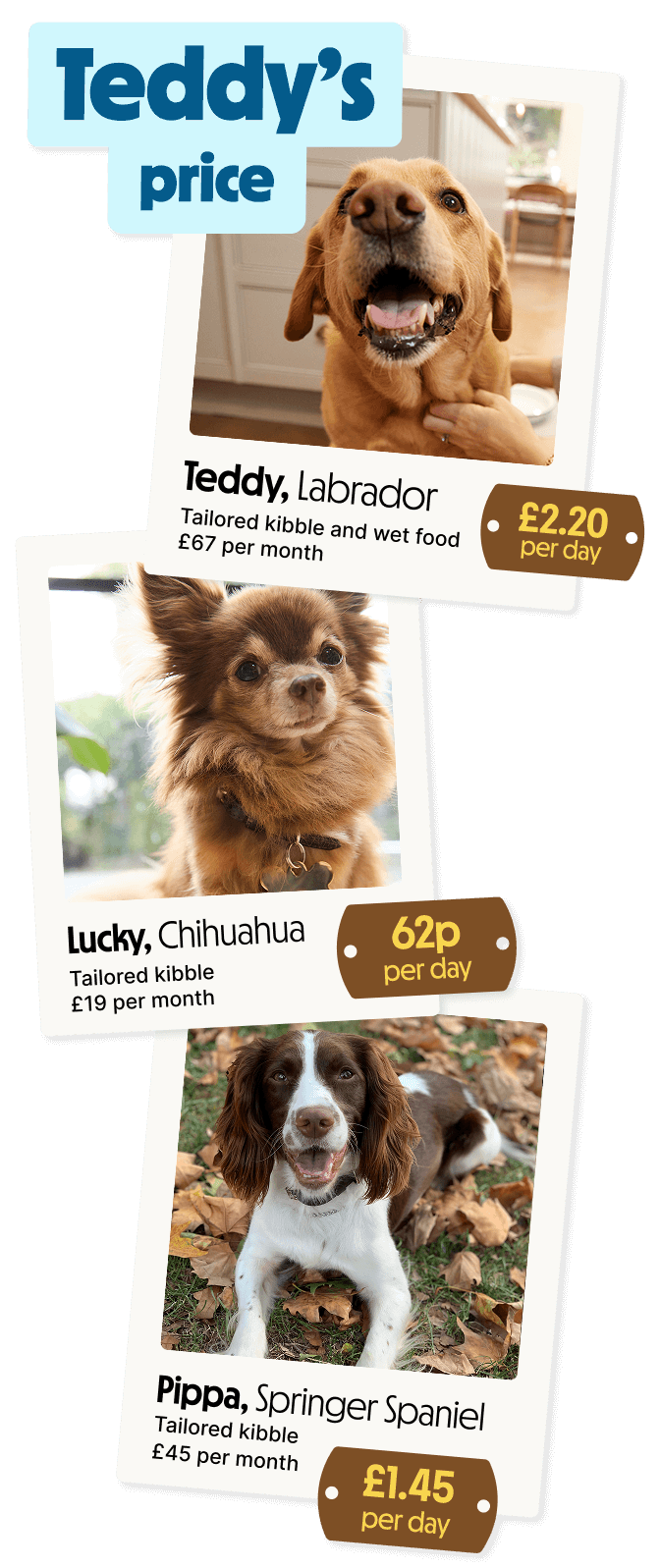 Even the price is tailored