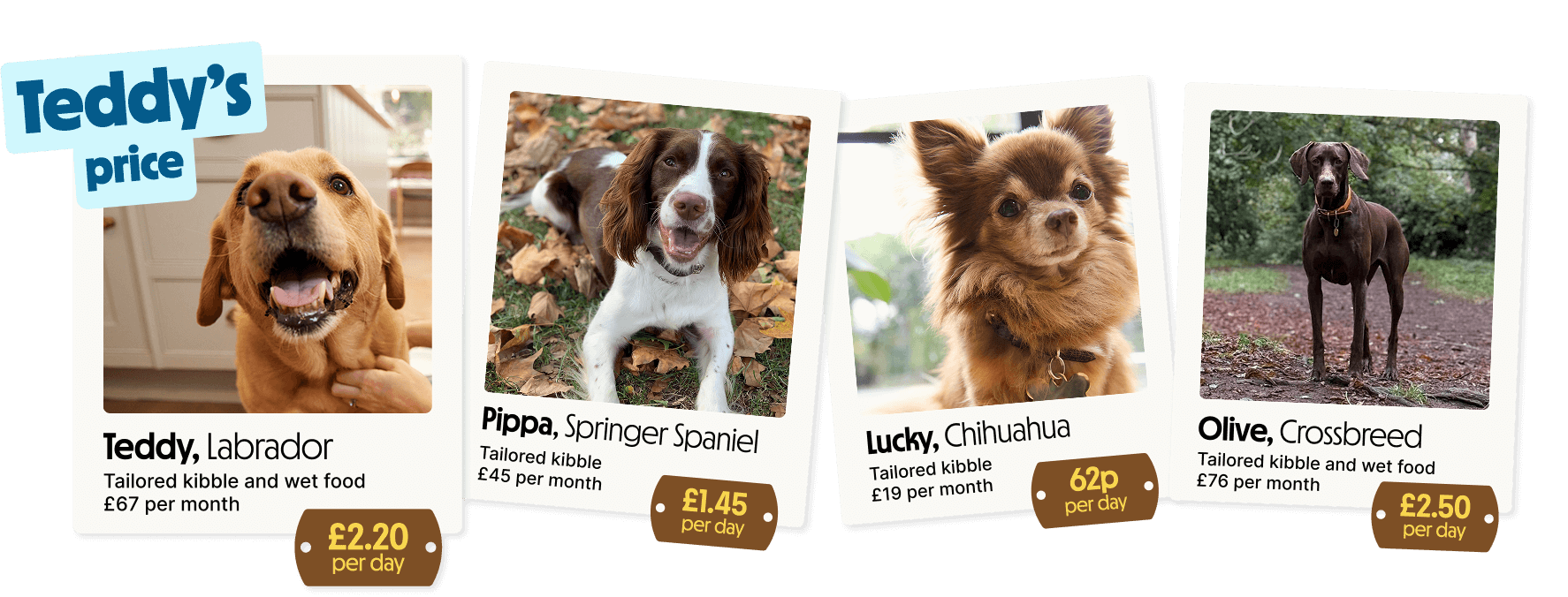 Even the price is tailored